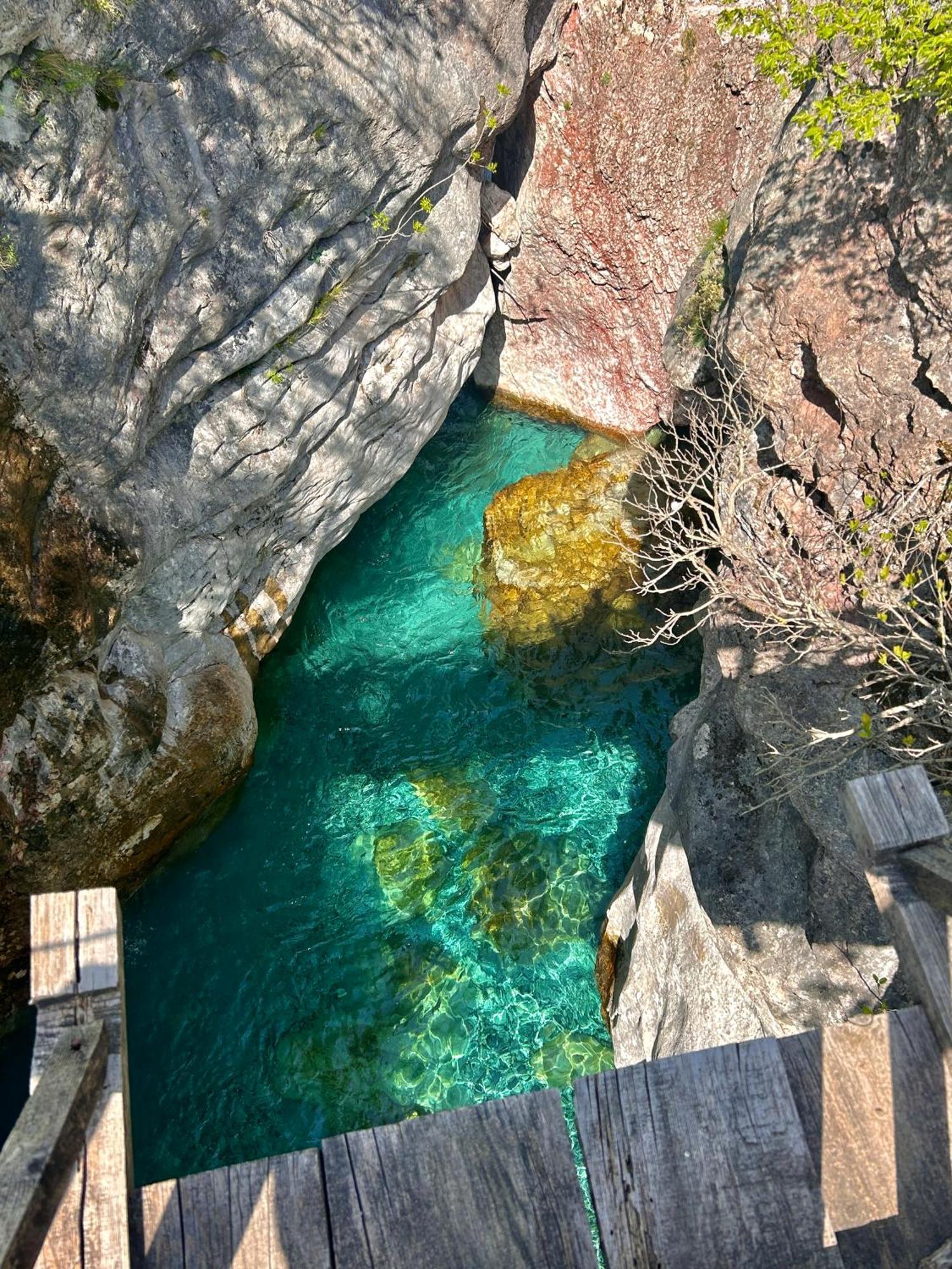 Shkodra Hostel & Day Tours ภายนอก รูปภาพ